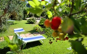 Missipezza Residence A Frassanito